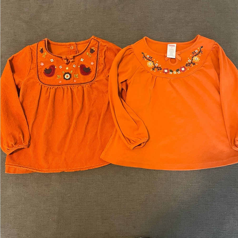Gymboree Girl’s Floral Fall Burnt Orange Long Sleeve T-Shirts Size 4T